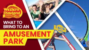 What To Bring to an Amusement Park